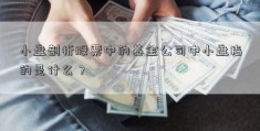 小盘剖析股票中的基金公司中小盘指的是什么？