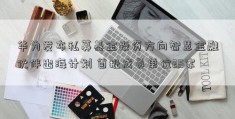 华为发布私募基金投资方向智慧金融伙伴出海计划 首批成员单位25家