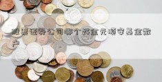 股票证券公司哪个好金元顺安基金散户