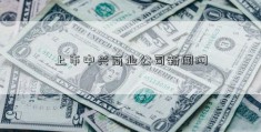 上市中兴商业公司新闻网