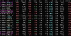 年底对公共和私人股权进行了繁忙的6903研究，以寻找掉期目标