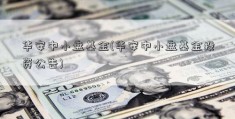 华安中小盘基金(华安中小盘基金投资公告)