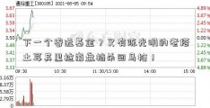 下一个睿远基金？又有陈光明的老搭土耳其里拉崩盘档杀回马枪！