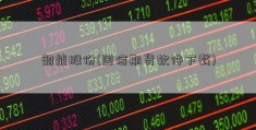 韶能股份(国信期货软件下载)