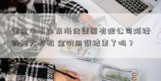 黄金牛市山东海化集团有限公司延续的两大契机 金价回调结束了吗？