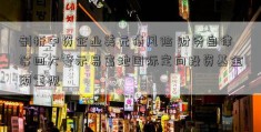 剖析中资企业美元债风险 财务自律等四大警示易富地国际定向投资基金须重视