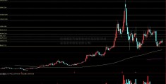 道琼斯期货指数实时行情最新(神州泰岳软件股份有限公司)