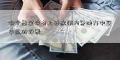 哪个基金持有上投摩根内需动力中联华盟的股票