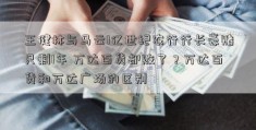 王健林与马云1亿世纪农行行长豪赌只剩1年 万达百货却败了？万达百货和万达广场的区别