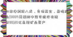 扣非净利跌八成、负债高企，晨鸣纸业(0004美媒称中国奇迹没有结束88)20亿急甩矿业资产