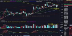 股票投资分析报告(股票投资分析报告2021)