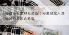 杨德龙华商盛世基金：抄底资金入场带动白马股大反弹