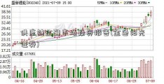 供应链金融市场投资报告(金色阳光证券)