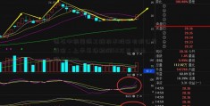 德石中钢国际工程技术股份有限公司股份：上半年净利润40万元 同比增长9.4%