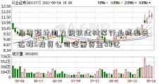 业界预计电力钢铁建材等行业或率先达峰5投资公司注册资金00亿