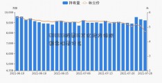 600993股票16万亿地方债限额意味着什么