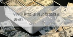 600171资金(郑州大象金融正规吗)