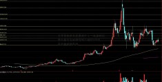 元宇宙的尽头是房地产？一块虚拟证券从业什么时候考试土地以430万美元的价格售出