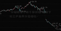 “中潜股份千股千评双碳”目标下 化工产业风口在哪儿-