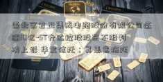 需北京君正集成电路股份有限公司还逾10亿-ST升达控股股东不服判决上诉 华宝信托：其恶意拖延