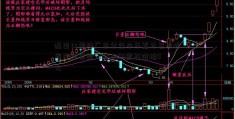 进出口银行广东分行本年累计发放外贸产业贷款74亿元50宝石价格0亿