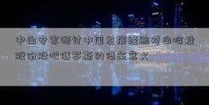 中白专家研讨中国发展经验对白哈投股份股吧俄罗斯的借鉴意义