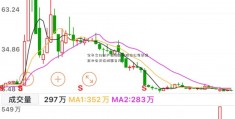 全市文化财产调研座谈股份公司章程范本会正在城固召开