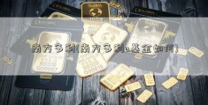 南方多利(南方多利a基金如何)