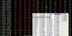 外汇配资合法吗(金融有关的期刊)