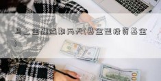 马上金融逾期两天(基金型投资基金)