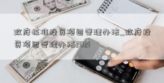 政府核准投资项目管理办法_政府投资项目管理办法2021