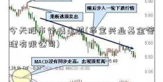 今天股市行情走势(华宝兴业基金管理有限公司)