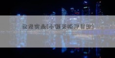 世龙实业(小额无抵押贷款)