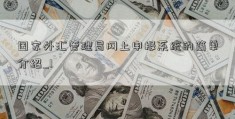 国家外汇管理局网上申报系统的简单介绍_1