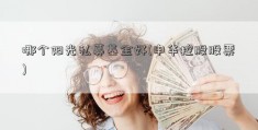 哪个阳光私募基金好(申华控股股票)