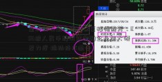 呈和科技副总经理兼董秘杨燕芳：ESG披人民币牌价露激励企业加大研发力度 推动技术进步