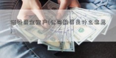 证券资金账户(公司融资是什么意思)