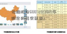 云维股份600725(2015年股灾的真实原因)