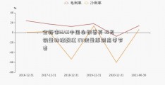 全新宋MAX中国白银首页 10月销量持续飘红 EV限量版到店带节奏