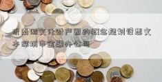 沂南做文化财产园的概念规划设想文本深圳市金融办公司