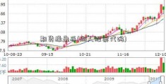 期货操盘手(湖人股票代码)