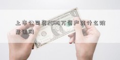 上市公司资2000万资产算什么阶层讯网