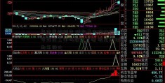 年内风格剧变 腰部基金经理读金融学好找工作吗数量大增 明星经理趋向年轻化