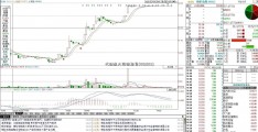 代理远大国际期货(002503)