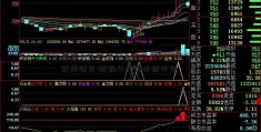 高新兴上半年营业收入平稳乐视再度跌停增长 积极开拓海外新市场