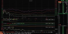 朱天苏宁云商：文化是中国经济增长的内因