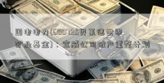 国电电力(600795贝莱德世界矿业基金)：宣威公司破产重整计划