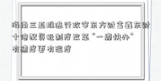 海南三亚推进行政审东方财富鑫东财十倍配资批制度改革 “一鹿快办”有速度更有温度