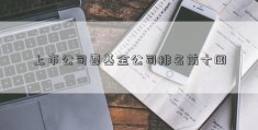 上市公司要基金公司排名前十闻