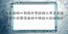 山东省港口集团外贸原油土耳其里拉国际中转首航启动中国进口原油港口